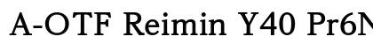 A-OTF Reimin Y40 Pr6N B font free download