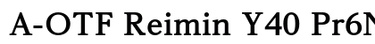 A-OTF Reimin Y40 Pr6N EB font free download
