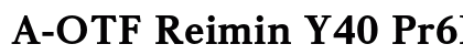 A-OTF Reimin Y40 Pr6N EH font free download