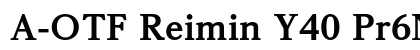A-OTF Reimin Y40 Pr6N H font free download