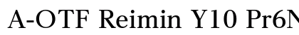 A-OTF Reimin Y10 Pr6N B font free download