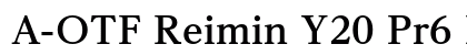 A-OTF Reimin Y20 Pr6 EB font free download