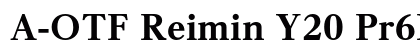 A-OTF Reimin Y20 Pr6N EH font free download