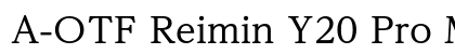 A-OTF Reimin Y20 Pro M Preview