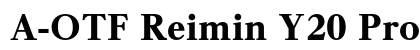 A-OTF Reimin Y20 Pro U Preview