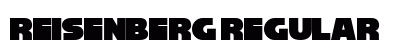 Reisenberg Regular Font Preview