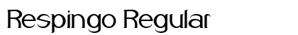 Respingo Regular preview