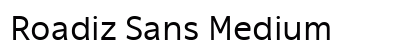 Roadiz Sans Medium Preview