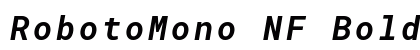 RobotoMono NF Bold Italic Preview