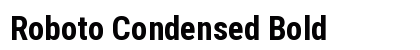 Roboto Condensed Bold Preview