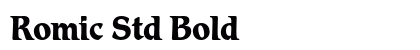 Romic Std Bold Preview