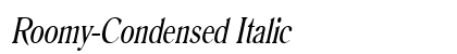 Roomy-Condensed Italic Preview