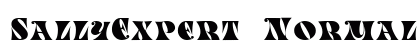 SallyExpert Normal Preview