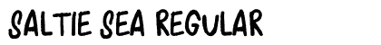 Saltie Sea Regular Font Preview