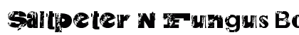 Saltpeter N Fungus Bold Font Preview