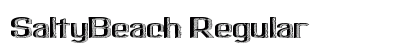 SaltyBeach Regular font free download