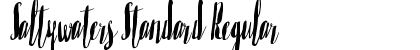 Saltywaters Standard Regular Font Preview