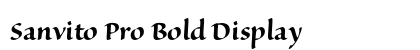 Sanvito Pro Bold Display Preview