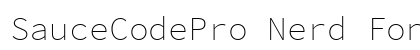 SauceCodePro Nerd Font Mono Regular Preview