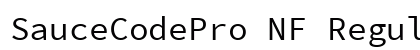 SauceCodePro NF Regular Preview