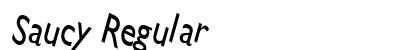 Saucy Regular Preview
