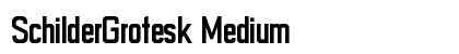 SchilderGrotesk Medium font free download