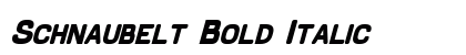 Schnaubelt Bold Italic preview