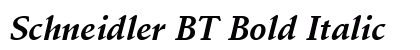 Schneidler BT Bold Italic font free download