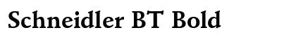 Schneidler BT Bold font free download