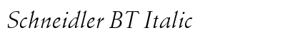 Schneidler BT Italic Preview