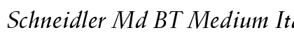 Schneidler Md BT Medium Italic Preview
