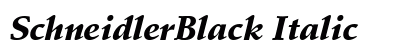 SchneidlerBlack Italic Preview