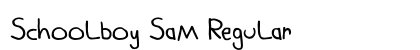 Schoolboy Sam Regular font free download