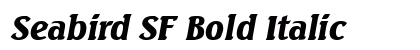 Seabird SF Bold Italic Preview