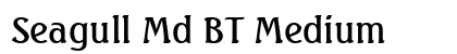 Seagull Md BT Medium Preview