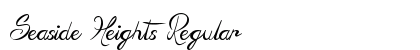 Seaside Heights Regular font free download