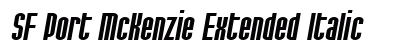 SF Port McKenzie Extended Italic Preview