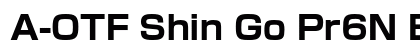 A-OTF Shin Go Pr6N B font free download