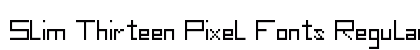 Slim Thirteen Pixel Fonts Regular Font Preview