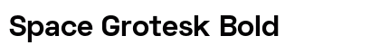 Space Grotesk Bold preview Space Grotesk Bold preview