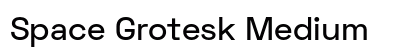 Space Grotesk Medium preview Space Grotesk Medium preview