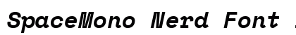 SpaceMono Nerd Font Bold Italic Preview