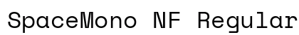 SpaceMono NF Regular font free download