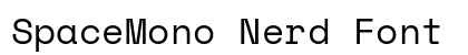 SpaceMono Nerd Font Regular font free download