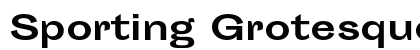 Sporting Grotesque Bold Preview
