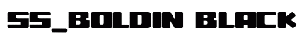 ss_boldin Black font free download