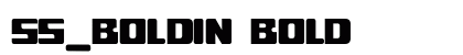 ss_boldin Bold Preview
