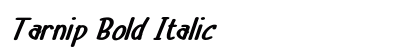 Tarnip Bold Italic Preview