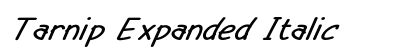 Tarnip Expanded Italic font free download