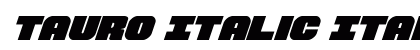 Tauro Italic Preview